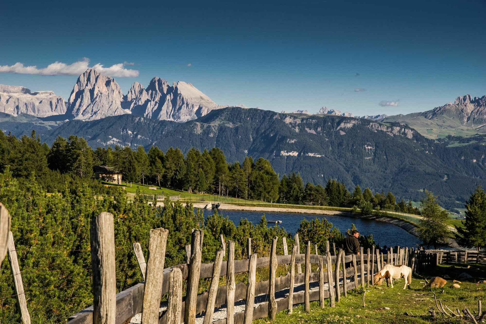 Almromantik und Dolomitenpanorama auf der Villanderer Alm